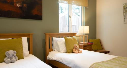 two teddy bears sitting on two beds in a bedroom at Salmon Run Lodge in Carrbridge
