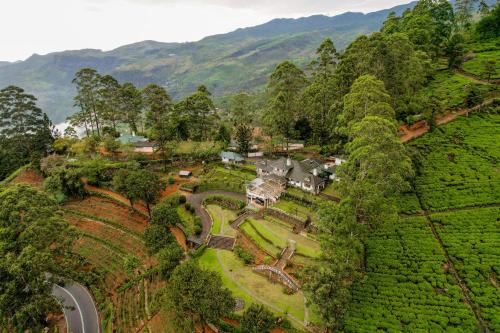 an aerial view of a house in a tea plantation at Manuel Manor in Labugolla
