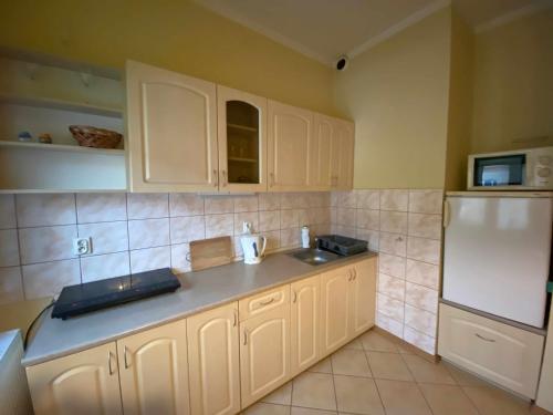 cocina con armarios blancos, fregadero y nevera en Apartament w Willi Cis, en Krynica-Zdrój