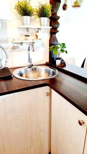 a kitchen counter with a sink and potted plants at Kuća za odmor Malia sa Spa Hot Tub Jacuzzijem - Nice and Cozy - Free tickets to all City attractions in Ðurđevac