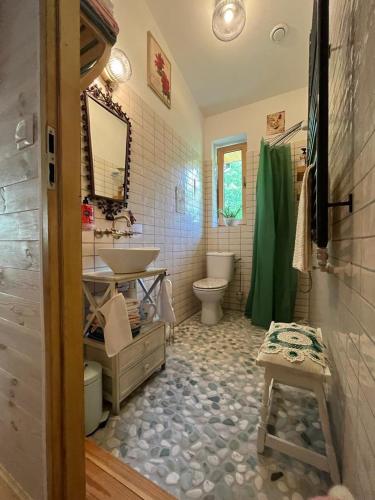 a bathroom with a sink and a toilet and a shower at Dom pod kogutem in Laliki