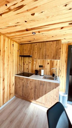 Η κουζίνα ή μικρή κουζίνα στο Cozy Tiny House bij het Leekstermeer