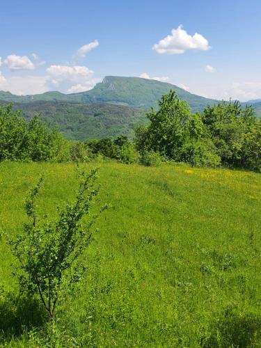 a field of green grass with mountains in the background at Almost Heaven - cabană cu vedere în Apuseni in Cîmpeni