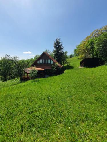 a house on a hill in a green field at Almost Heaven - cabană cu vedere în Apuseni in Cîmpeni