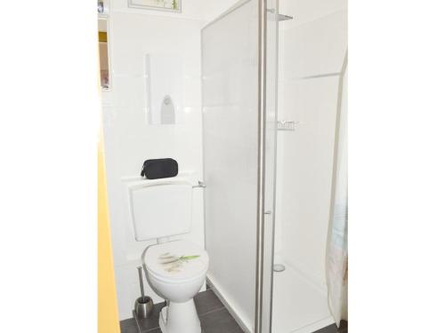 a bathroom with a toilet and a shower at Fewo 91 WHG B 1 in Burhave in Burhave