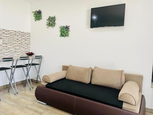 - un salon avec un canapé et une télévision dans l'établissement Attila Studio Apartments, à Hajdúszoboszló