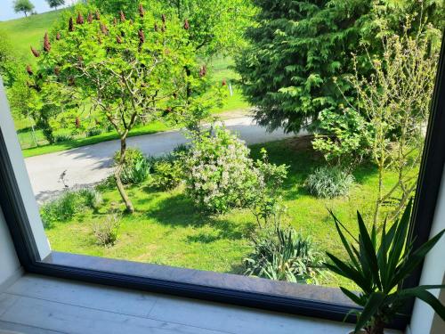 Jardín al aire libre en House Under The Maple Tree