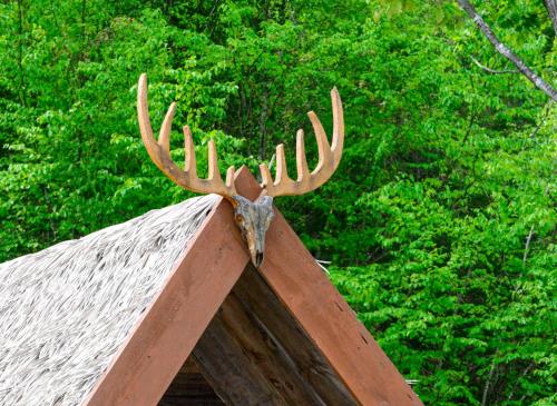 a moose head with antlers on top of a roof at Vikings Villages Resort in Guilford