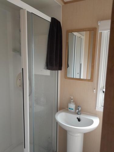 a bathroom with a sink and a shower and a mirror at Happy place no4 in Ringwood