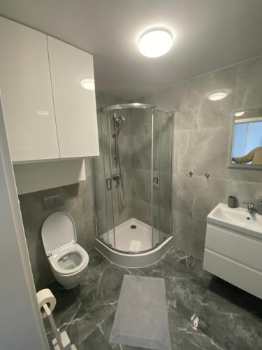 a bathroom with a shower and a toilet and a sink at Apartamenty RÓŻA WIATRÓW - MARINA BORKI in Augustów
