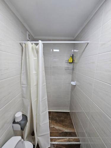 a bathroom with a shower curtain and a toilet at Guest House Tenir Too in Naryn