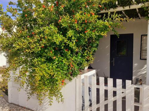 Κήπος έξω από το ZENergy - GUEST HOUSE