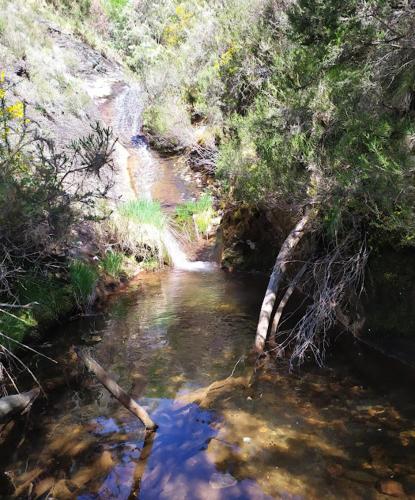 a stream of water in the middle of a forest at O Busto Aldea Rural, Apartamento HORNO 2 in A Pobra do Brollon