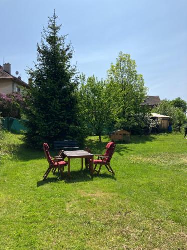 a picnic table and two chairs in a yard at Apartmány Windy in Staré Město