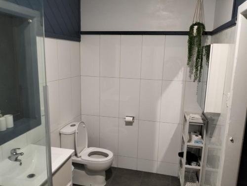 a white bathroom with a toilet and a sink at Ocean views in Portland