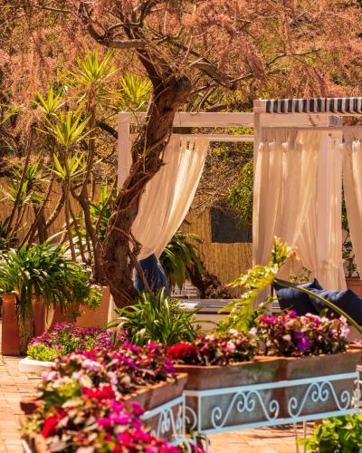 a garden with flowers in pots and a canopy at Approdo Resort Thalasso Spa in Castellabate