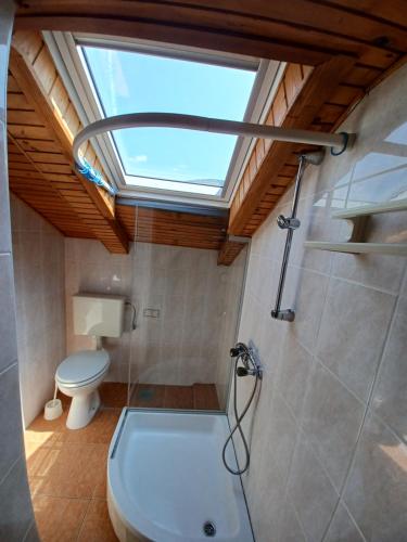a bathroom with a toilet and a shower with a skylight at Apartment Lucija in Dramalj