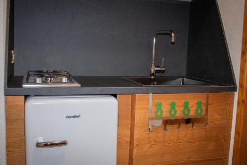 a small kitchen with a sink and a stove at Busc De Crodol in Comune Rivamonte Agordino