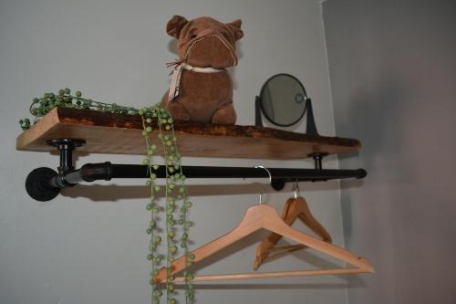 a dog sitting on a shelf with a mirror at 2 Barbour Court in Lisburn