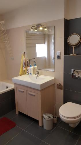 a bathroom with a sink and a toilet and a mirror at Apartamenty Łąkowa Piecki in Piecki