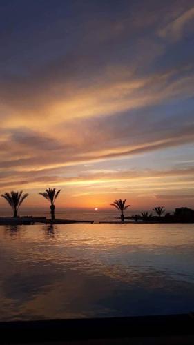 a group of palm trees in front of a sunset at King Evelthon Beach Hotel & Resort in Paphos City