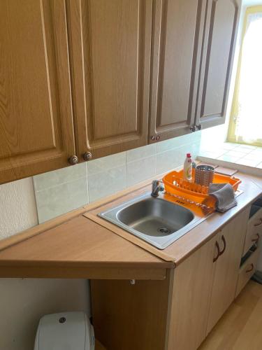 Kuchyň nebo kuchyňský kout v ubytování Apartmán Štěpán