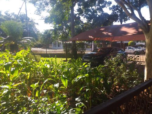 a garden with a car parked in a yard at Africa Dawn Guesthouse in Musina