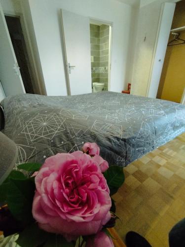 a pink flower sitting on the floor next to a bed at La Maison de Raph in Villeneuve dʼOlmes