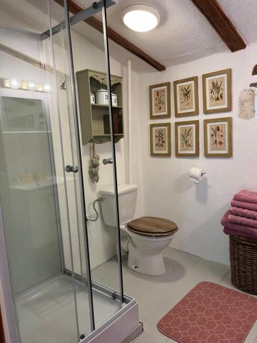 a bathroom with a toilet and a glass shower at La Colline de Tilleul - Les Deux Puits - Cosy Cottage with swimming pool near Aubeterre in Saint-Romain