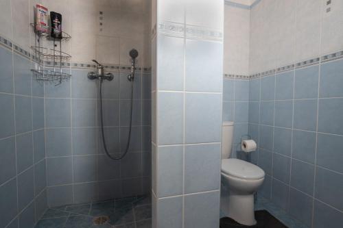 een badkamer met een douche en een toilet bij Apartments 2 in the historic part of Znojmo in Znojmo