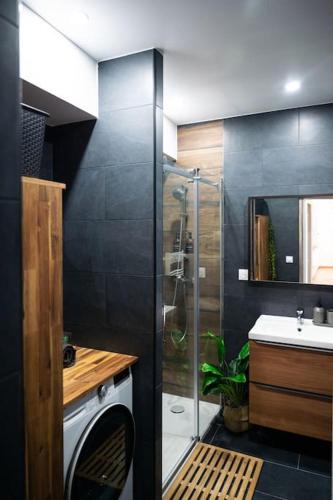 une salle de bain avec douche et lavabo et une machine à laver dans l'établissement Le Pozzi, parking privé plein centre, à Bergerac