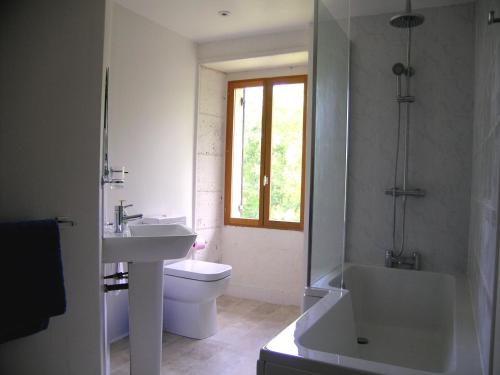 y baño con aseo, lavabo y ducha. en Totally Secluded Stone Cottage with Private Pool, 2 acres of Garden and Woodland, en Paussac-et-Saint-Vivien