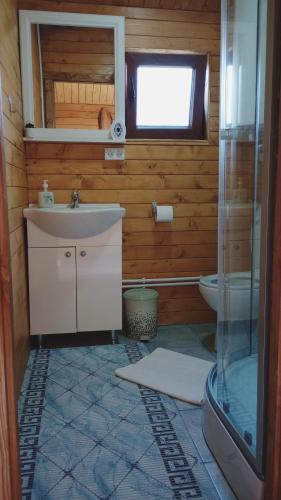 a bathroom with a sink and a toilet and a window at Casa Fericirii in Cîrţişoara