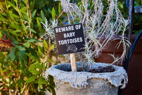 a sign that says beware of baby tortoises at Gilcrest Place Guest House in Paternoster
