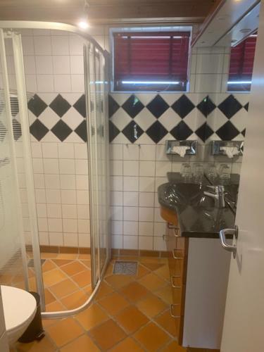 ein Bad mit einer Dusche und einem Waschbecken in der Unterkunft Sønderstrand Bed & Breakfast Skagen in Skagen