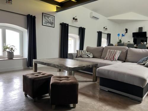 uma sala de estar com um sofá e uma mesa em Loft design em Lapalud
