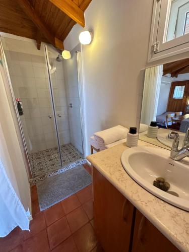 a bathroom with a shower and a sink and a sink at The OLive Tree in Ẕafririm