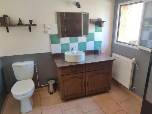 łazienka z toaletą i umywalką w obiekcie Gîte des trois petits oiseaux w mieście Picarreau