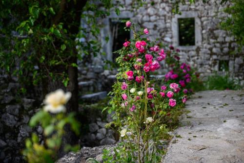 a bunch of pink flowers in front of a stone building at centuries old Ethno House Đurović in Virpazar