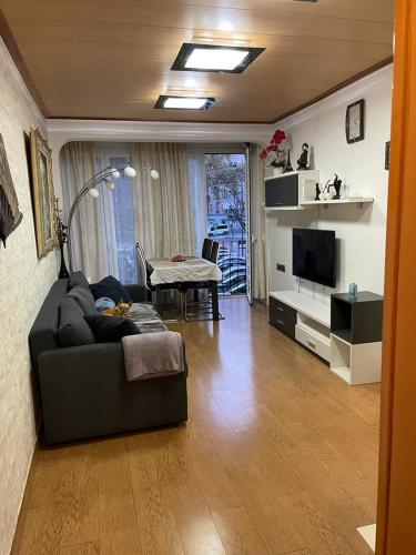 een woonkamer met een bank en een televisie bij Cozy Flat in Barcelona