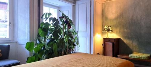 a bedroom with a plant sitting next to a bed at La Vie Eau Naturelle in Sembrancher