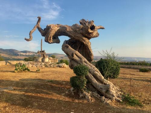Locanda Gulfi – Photos 5
