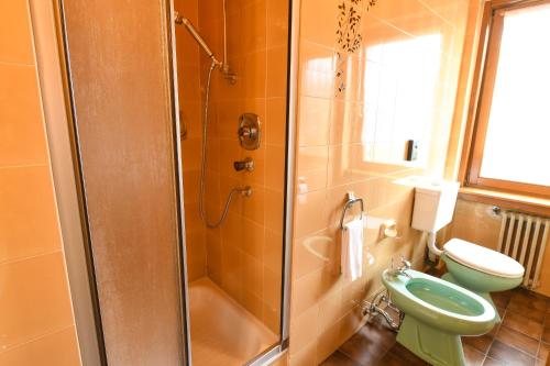 a bathroom with a shower and a toilet and a sink at Guesthouse Rosengarten in Dobbiaco