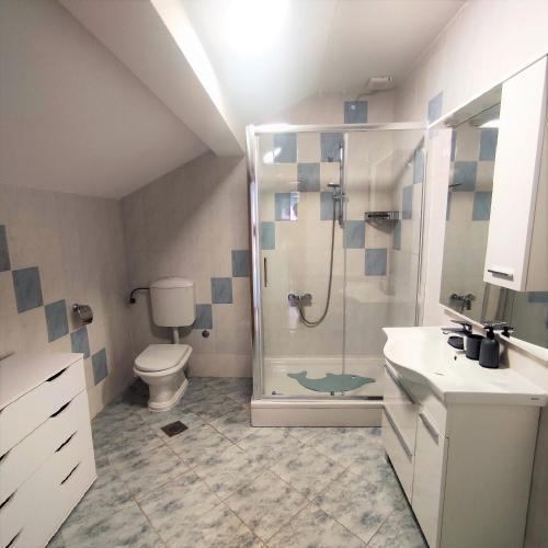 a bathroom with a shower and a toilet and a sink at New apartments Kunić Sobra-Mljet in Sobra