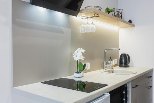 a kitchen with a sink and a counter top at Aura Home in Dnipro