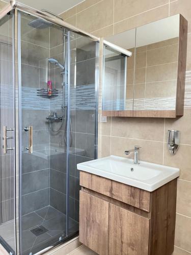 La salle de bains est pourvue d'un lavabo et d'une douche. dans l'établissement Surčin Apartment, à Ledine