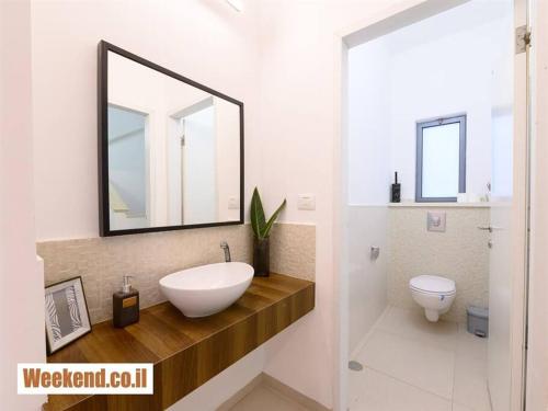 uma casa de banho com um lavatório, um WC e um espelho. em וילת נופש מגידו em Midrakh ‘Oz