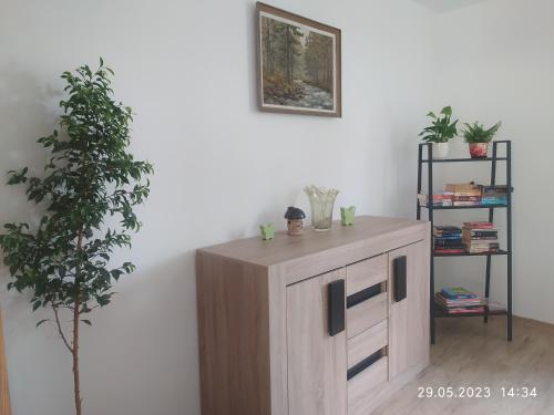 a wooden cabinet in a room with a plant at Dolistówka Apartamenty, pole namiotowe, balia z jacuzzi, ogród warzywny dla gości, plac zabaw dla dzieci in Goniadz