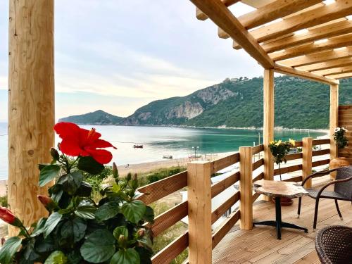 a balcony with a view of a beach and a red flower at Hamre Apartments (Nicholas) in Agios Georgios Pagon