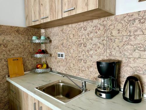 a kitchen with a sink and a coffee maker on a counter at Hamre Apartments (Nicholas) in Agios Georgios Pagon